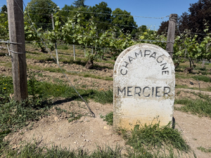 Couvreur urgence Meyzieu